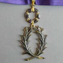 Award Order of Academic Palms