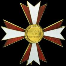 Award Austrian Cross of Honour for Science and Art, 1st class