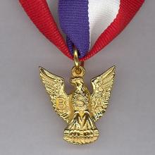 Award Distinguished Eagle Scout Award