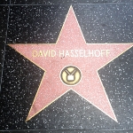 Achievement Hasselhoff was awarded a star on the Hollywood Walk of Fame in 1996. of David Hasselhoff