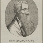 Photo from profile of Guillaume Rondelet