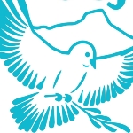  Coalition for Compassion and Justice