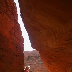 Photo from profile of Diane Iverson