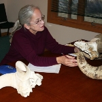Photo from profile of Diane Iverson