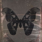 Achievement Attacus Atlas by Jeff Cowen purchased for $7,080 at Cornette de Saint Cyr Auction House, Paris, in 2015.  of Jeff Cowen