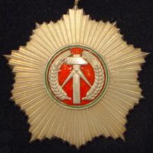 Award Patriotic Order of Merit