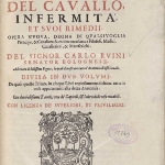 Photo from profile of Carlo Ruini