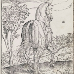 Photo from profile of Carlo Ruini