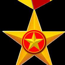 Award Gold Star Order