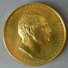 Award Royal Geographical Society's Gold Medal