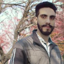 Syed Falak's Profile Photo