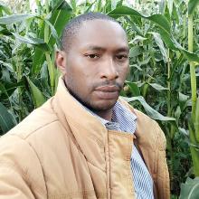 Peter Nyamwaro's Profile Photo