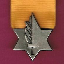 Award Medal of Valor