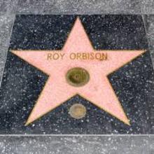 Award Hollywood Walk of Fame Star
