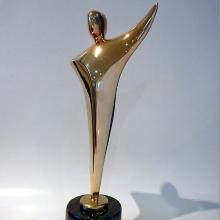 Award Australian Film Institute Award