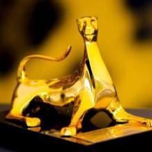 Award Locarno International Film Festival Prize