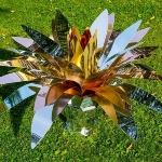Photo from profile of Chelita Riojas Zuckermann