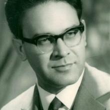 Nicolae Dinculeanu's Profile Photo