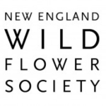 New England Wild Flower Society 