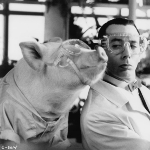 Photo from profile of Paul Reubens