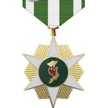 Award Vietnam Campaign Medal