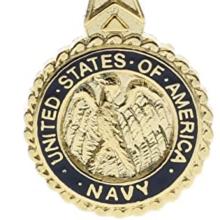 Award Navy Distinguished Service Medal