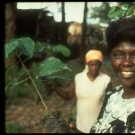 Photo from profile of Wangari Maathai