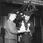 Photo from profile of Shidzue Katō