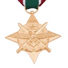 Award General Campain Star