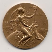 Award Samuel P. Langley Medal for Aerodromics