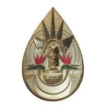 Award Order of Ikhamanga in Gold