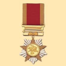 Award Grand Bauhinia Medal