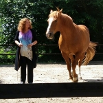 Photo from profile of Linda Kohanov