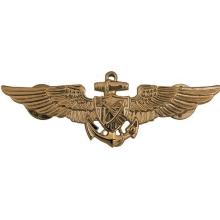 Award Navy Astronaut Wings