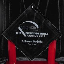 Award Fielding Bible Award