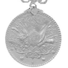 Award Imtiyaz Medal in Silver