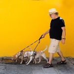 Photo from profile of João Urban