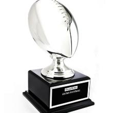 Award Chicago Tribune Silver Football Award