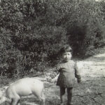 Photo from profile of Mario Andretti