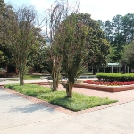 Photo from profile of Shay McNeal