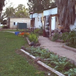 Photo from profile of Shoshana Arbeli-Almozlino