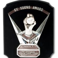 Award Cy Young Award