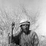 Photo from profile of Wilfred Thesiger