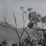 Photo from profile of Wilfred Thesiger