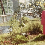 Photo from profile of Cyndi Lauper