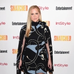 Photo from profile of Amy Schumer