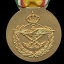 Award Administrative and Training Competence Medal