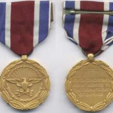 Award Department of Defense Medal for Distinguished Public Service
