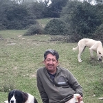 Photo from profile of Hamid Kamarzarin
