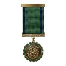 Award Taraggi Medal